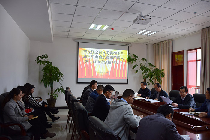 市龍江公司召開全體員工大會(huì)，專題傳達(dá)學(xué)習(xí)上級(jí)會(huì)議精神