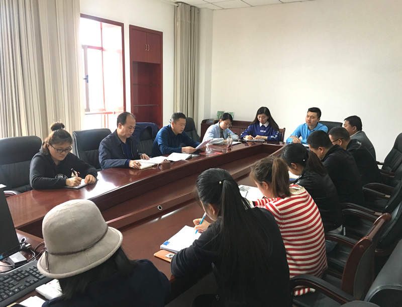市龍江城鄉(xiāng)發(fā)展集團專題學(xué)習(xí)近期中央、省、市紀律檢查委員會議精神