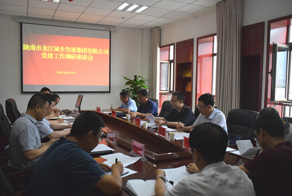 隴南市委常委、組織部部長(zhǎng)楊郃調(diào)研指導(dǎo)市龍江城鄉(xiāng)發(fā)展集團(tuán)公司黨建工作